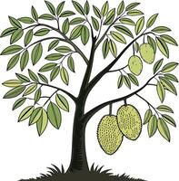 Illustration of a jackfruit tree with jackfruit vector