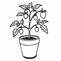 Hand Drawn Potted Tomato Plant Outline for Gardening Illustrations vector