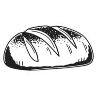 artistic sourdough bread illustration with organic texture and crusty design vector