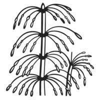 stylized fireworks design black and white graphic illustration of bursting firework patterns vector