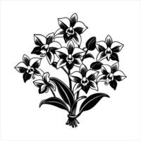 A cluster of purple and white dendrobium vector