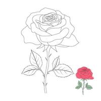 Hand-Drawn Rose line art design vector