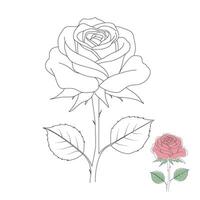Rose line art design illustration vector