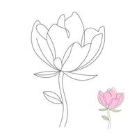 Tulip flower in minimal style line art design vector