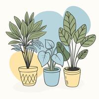 Three different potted plants with green leaves in colorful pots vector