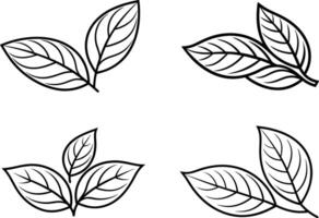 Four leaves in different positions vector