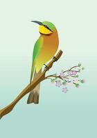 An illustration of a little bee eater. The bird is perched on a branch with some pink blossom. vector