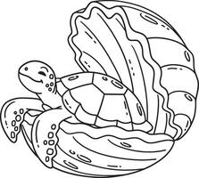 Turtle Inside a Clam Shell Isolated Coloring Page vector