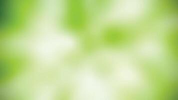 light green blurred bright background,abstract light green gradient color background elegant bright illustration vector