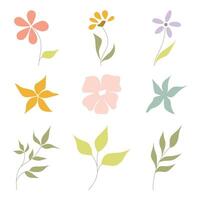 set of wild wildflowers in delicate shades on a white background. vector