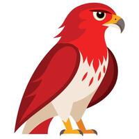 Hawk Head Emblem Bold and Striking Bird Design vector
