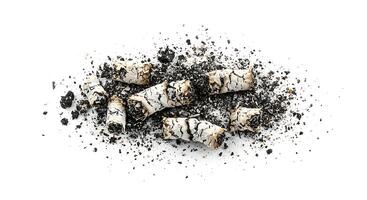 Closeup of Ash and Burned Cigarette Butts Isolated White Background grey life lung dust mess smoke photo