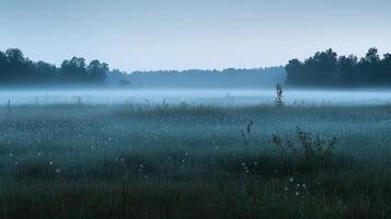 A serene misty landscape at dawn, showcasing nature's tranquility. photo