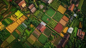 Aerial view of vibrant agricultural fields and crops in a rural landscape. photo