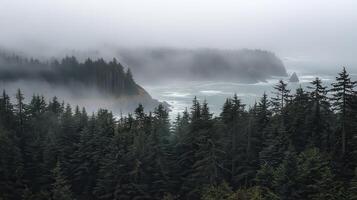 Misty coastal landscape with evergreen trees and ocean waves in a serene, foggy atmosphere. photo