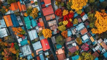 Aerial view of colorful rooftops surrounded by autumn foliage photo