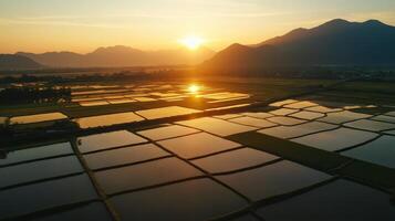 Aerial view of rice fields reflecting sunset light with mountains in the background. photo