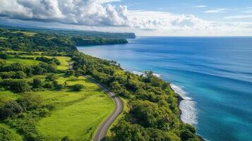Aerial view of a coastal road winding through lush greenery by the ocean. photo