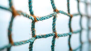 Close-up of a Blue Rope Net photo