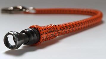 A close up of a leash with a metal hook photo