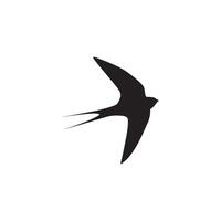 swallow bird or swiftlet silhouette black isolated in white background vector