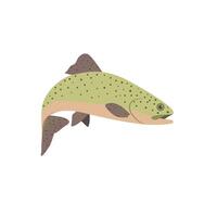 Rainbow trout set. Isolated rainbow trout vector