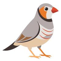 Zebra Finch Perched on White Background vector