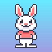 Pixel art illustration of a charming white rabbit, featuring a cheerful smile and casual outfit, brings a touch of retro and vintage vibes. vector