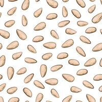 Nuts seamless pattern on white. Pine nuts background. Organic food concept. Nuts pattern for fabric, packaging, coffee and bakery shops. Hand Drawn illustration vector