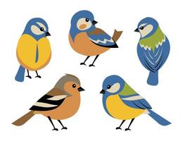 Set of spring birds, blue tit and finch. Different colorful birds in flat cartoon style isolated on white. vector