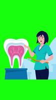 Dentist Talks About Protecting Your Teeth Vertical Greenscreen Background 2D Cartoon Animation video