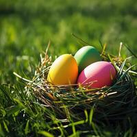 Three colorful easter eggs in a nest on the grass photo