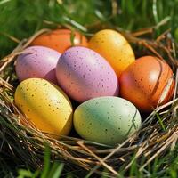 Colorful easter eggs in a nest on grass photo