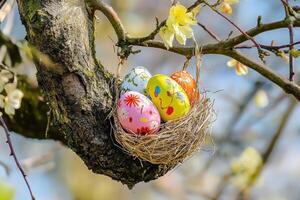 Easter eggs in a nest on a tree branch photo