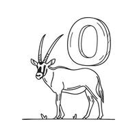 An illustration of letter O stand for Oryx beside it vector
