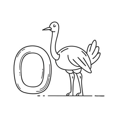 An illustration of letter O stand for Ostrich beside it