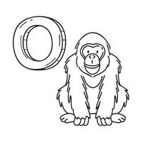 An illustration of letter O stand for Orangutan beside it vector