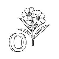An illustration of letter O stand for Oleander beside it vector
