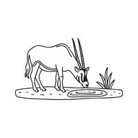 An oryx drinking water from a small desert oasis vector