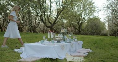 An Elegant Outdoor Picnic Setup Perfectly Positioned in a Serene and Peaceful Orchard video