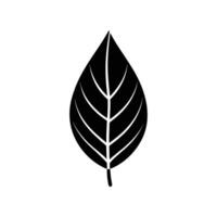 Leaf Icon.Leaf Line Icon, Outline Symbol.Garden Thin Line Icon With Editable Stroke On Transparent BaseLeaf.Boho Home Concept Leaf vector