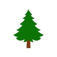Green spruce tree with flat design style growing in winter vector