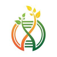 DNA Helix And Leaf Graphic Design vector