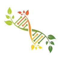 DNA and leaf with gradient color vector