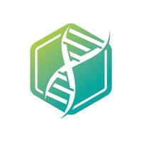 DNA helix hexagon concept vector