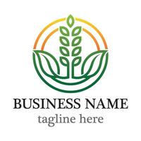 Wheat line with gradient color vector
