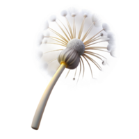 magnificent minimalist A single dandelion seedhead, caught in a gentle breeze, ethereal lighting, dreamlike style detailed png