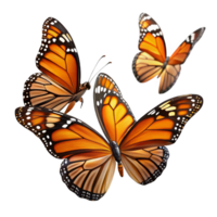impressive creative A group of monarch butterflies in flight, migrating south, autumnal light, nature documentary style exclusive png