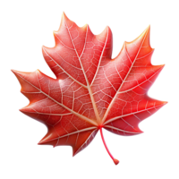 elegant creative A single, perfect red maple leaf, caught in a spiderweb glistening with morning dew, lit by soft, diffused sunlight. Hyperrealistic style high resolution png