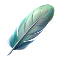wonderful artistic A single, perfect feather floating in the air, with soft, downy details. Soft, diffused lighting exclusive png